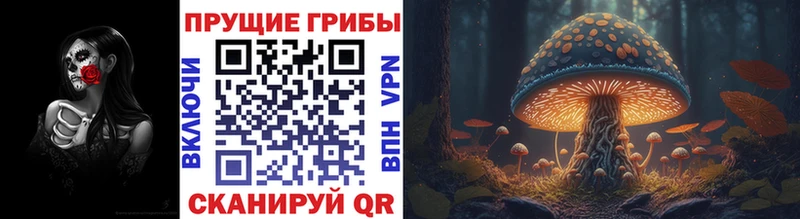 Псилоцибиновые грибы ЛСД  Назарово 